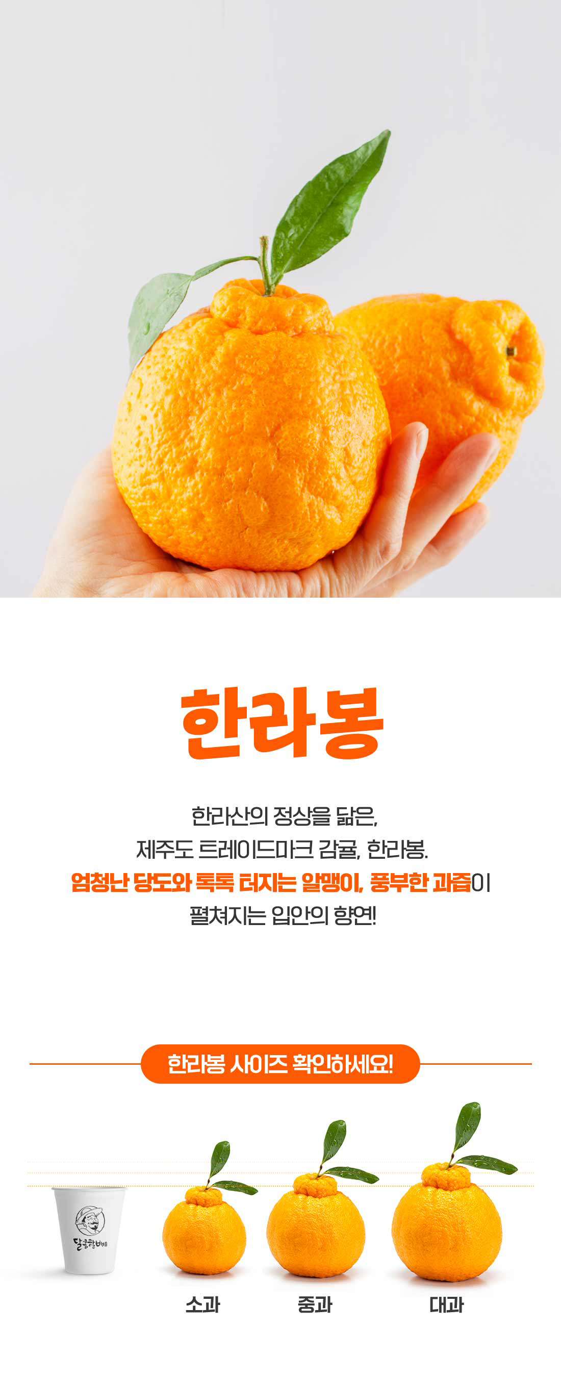 b324baef0a016d43e434ffe0d7bb898f_1706149710_545.jpg b324baef0a016d43e434ffe0d7bb898f_1706149710_545.jpg